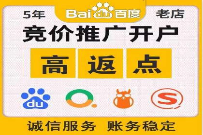 某电商平台的SEM策略与效果展示
